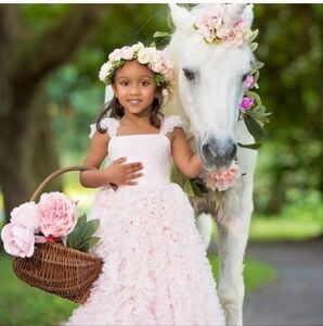 Pink DOLLCAKE Tulle Gown Pageant Flower Girl Princess NWOT